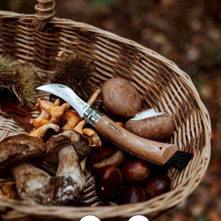 OPINEL POUR CHAMPIGNONS