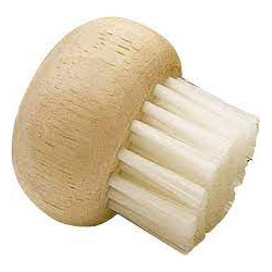 BROSSE A CHAMPIGNONS