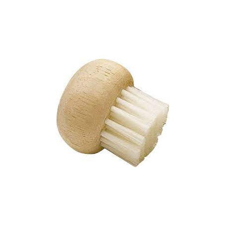 BROSSE A CHAMPIGNONS